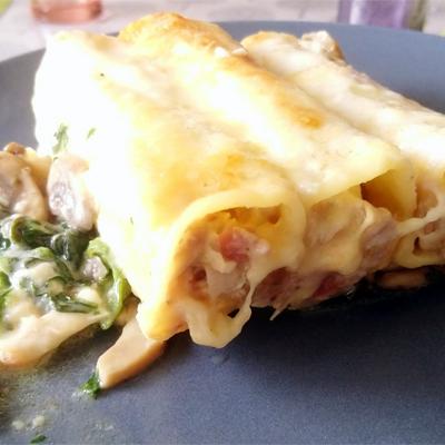 Cannelloni400